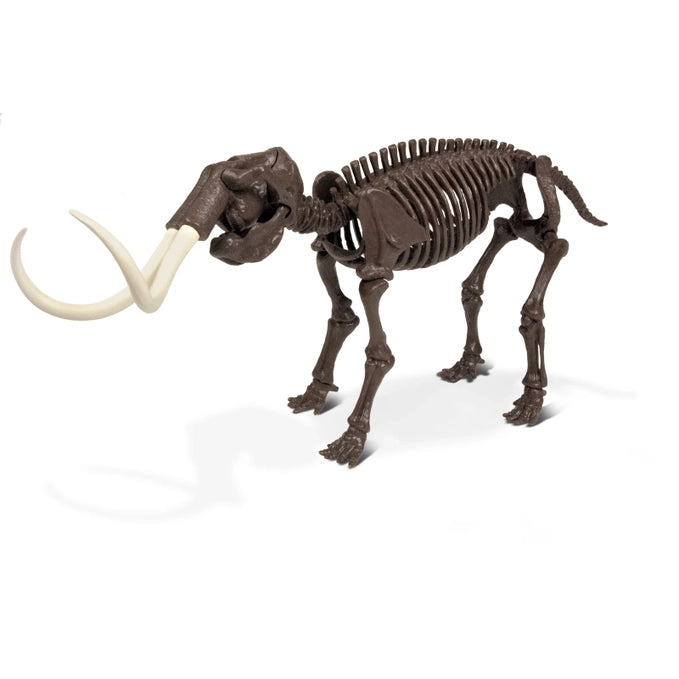 Geoworld Ice Age Excavation Kit - Mammuthus Skeleton